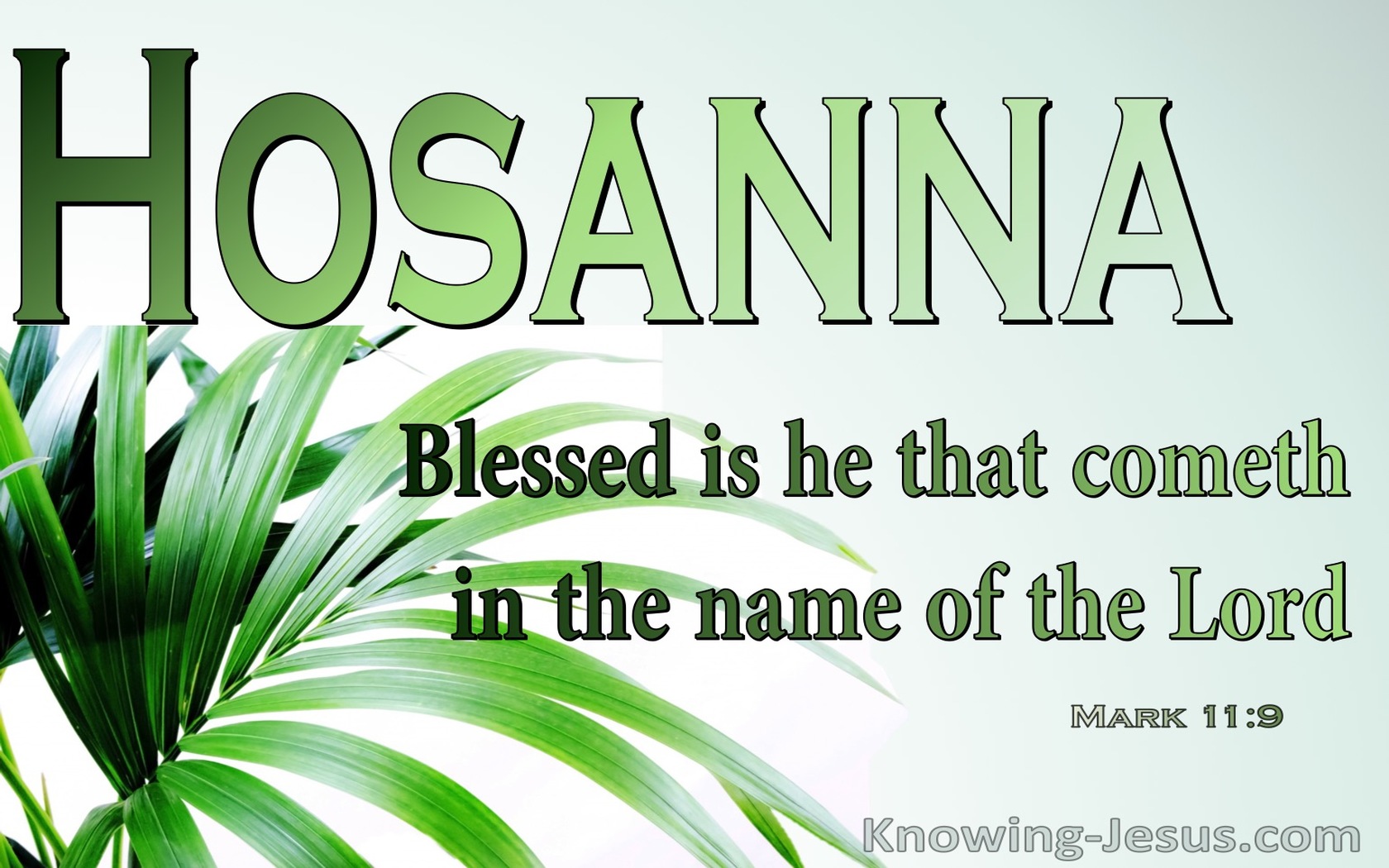 Mark 11:9 Blessed Is He Who Comes In The NameOf The Lord (green)